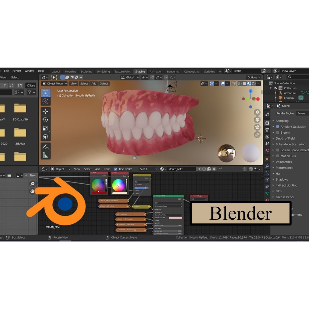 Realistic Mouth 3D Model – Low Poly Rigged Character Asset, FBX - View 3