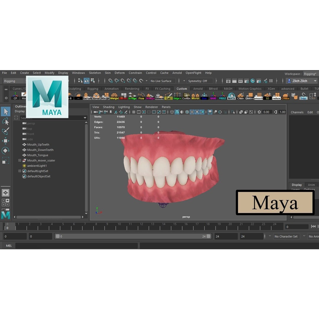 Realistic Mouth 3D Model – Low Poly Rigged Character Asset, FBX - View 4