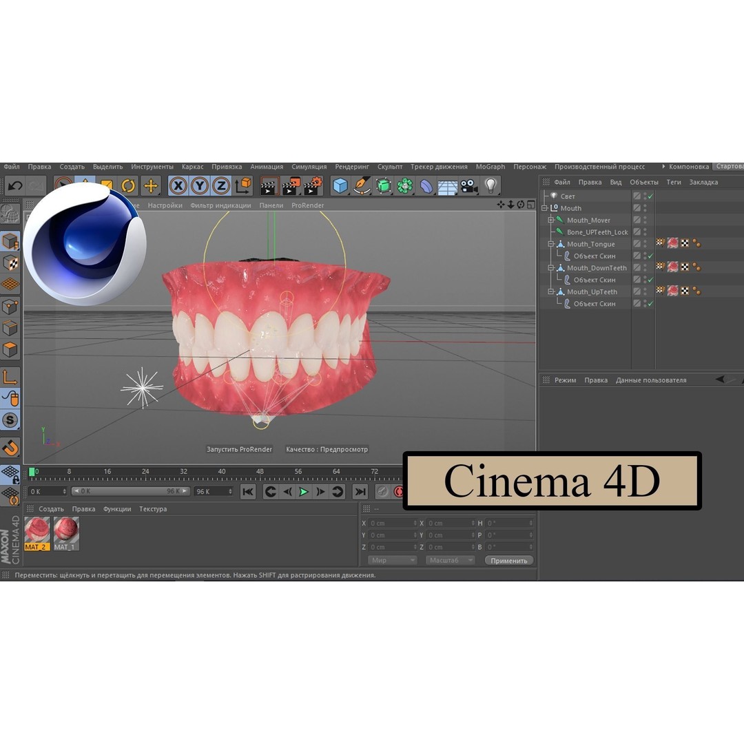 Realistic Mouth 3D Model – Low Poly Rigged Character Asset, FBX - View 7