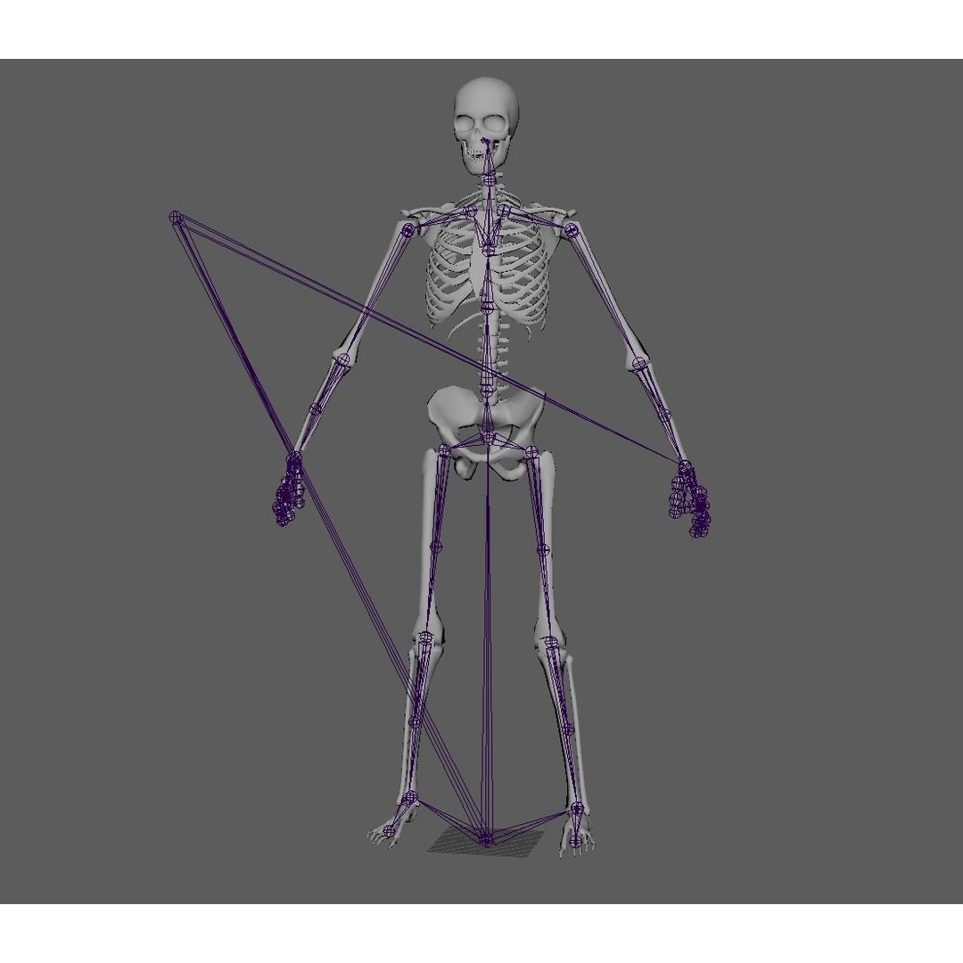 Skeleton 3D Model – Game Ready Low-Poly Rigged Character, FBX/OBJ - View 16