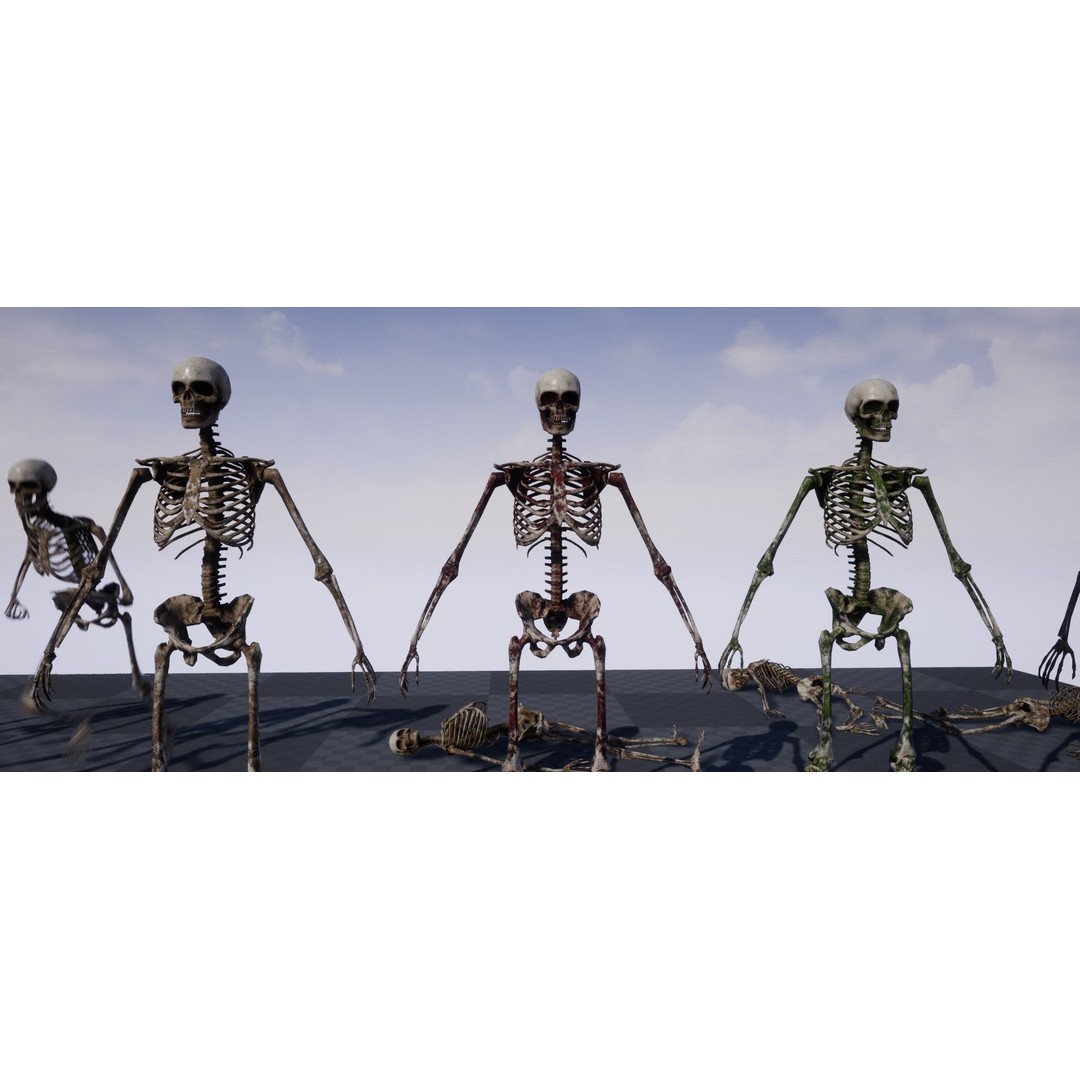 Skeleton 3D Model – Game Ready Low-Poly Rigged Character, FBX/OBJ - View 18