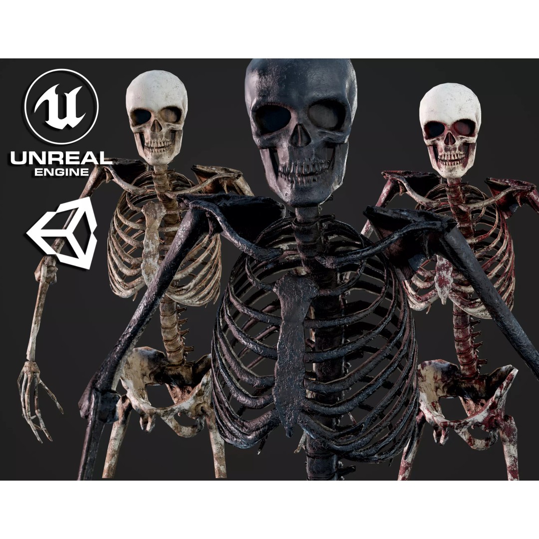 Skeleton 3D Model – Game Ready Low-Poly Rigged Character, FBX/OBJ - View 2
