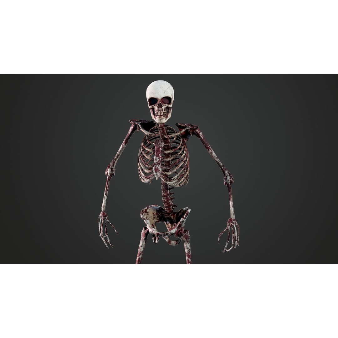 Skeleton 3D Model – Game Ready Low-Poly Rigged Character, FBX/OBJ - View 4