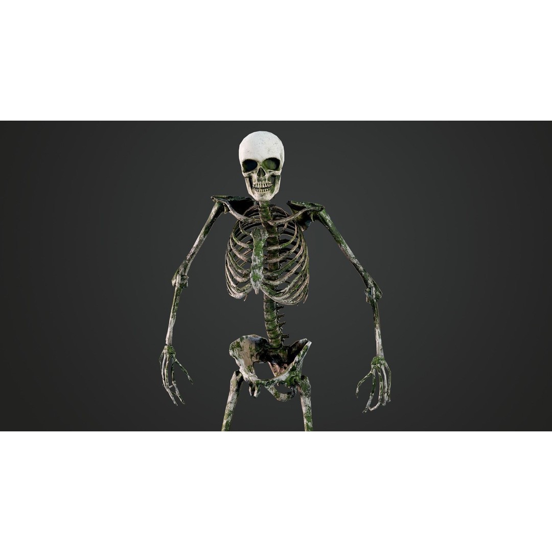Skeleton 3D Model – Game Ready Low-Poly Rigged Character, FBX/OBJ - View 5