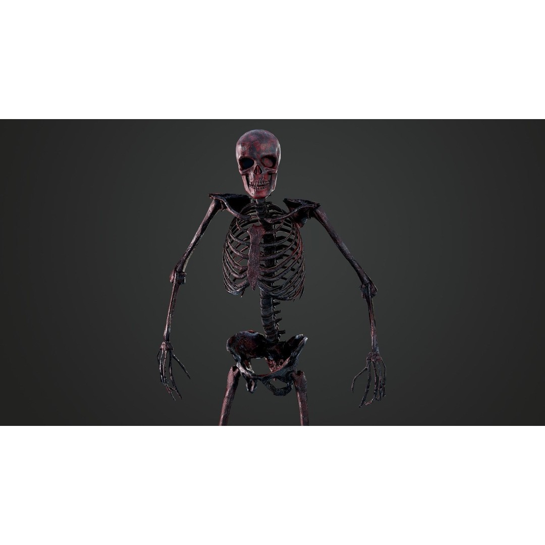Skeleton 3D Model – Game Ready Low-Poly Rigged Character, FBX/OBJ - View 7