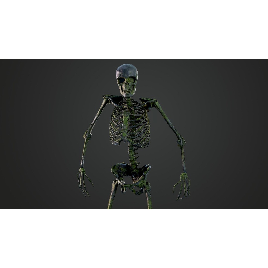 Skeleton 3D Model – Game Ready Low-Poly Rigged Character, FBX/OBJ - View 8