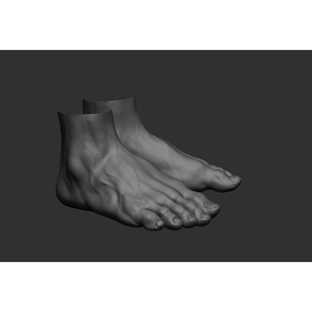 Realistic Male Foot Poses 3D Model – High Poly ZBrush Anatomy, FBX, OBJ