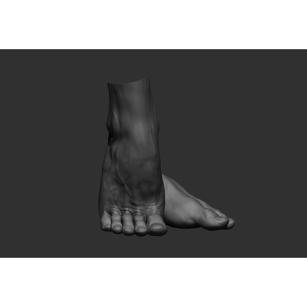 Realistic Male Foot Poses 3D Model – High Poly ZBrush Anatomy, FBX, OBJ - View 10