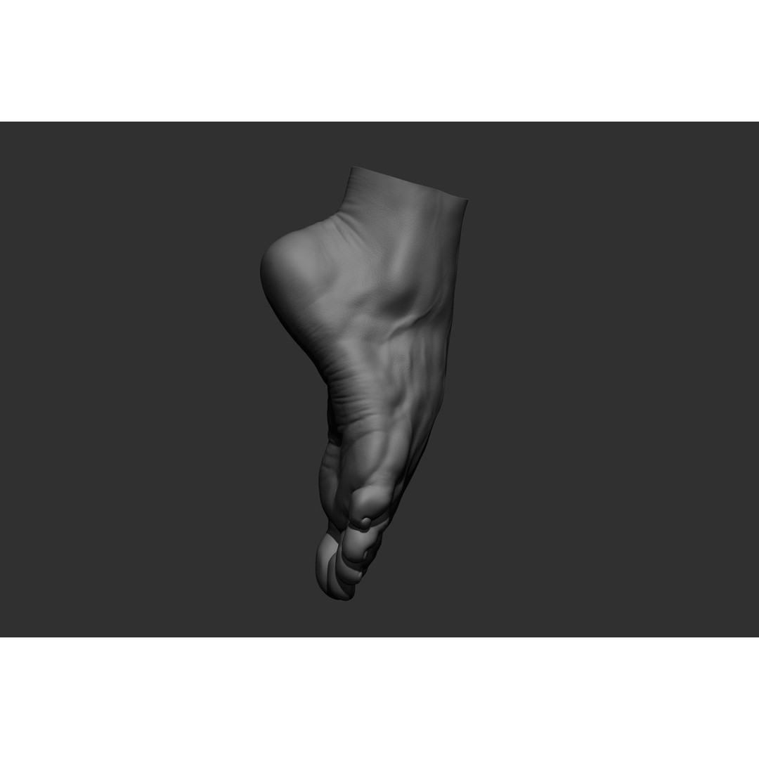 Realistic Male Foot Poses 3D Model – High Poly ZBrush Anatomy, FBX, OBJ - View 11