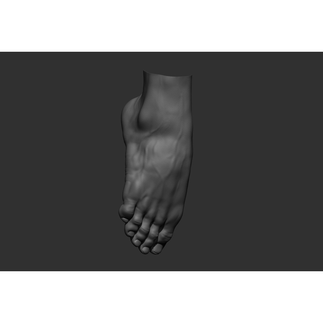 Realistic Male Foot Poses 3D Model – High Poly ZBrush Anatomy, FBX, OBJ - View 12