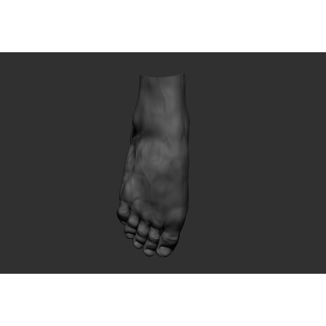 Realistic Male Foot Poses 3D Model – High Poly ZBrush Anatomy, FBX, OBJ - View 13