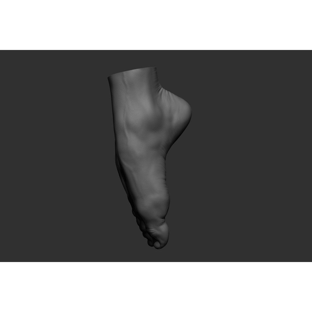 Realistic Male Foot Poses 3D Model – High Poly ZBrush Anatomy, FBX, OBJ - View 14