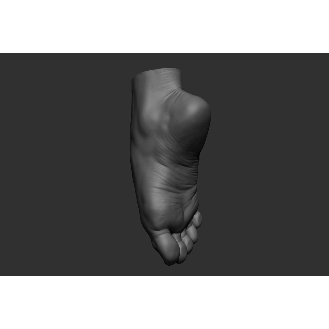 Realistic Male Foot Poses 3D Model – High Poly ZBrush Anatomy, FBX, OBJ - View 15