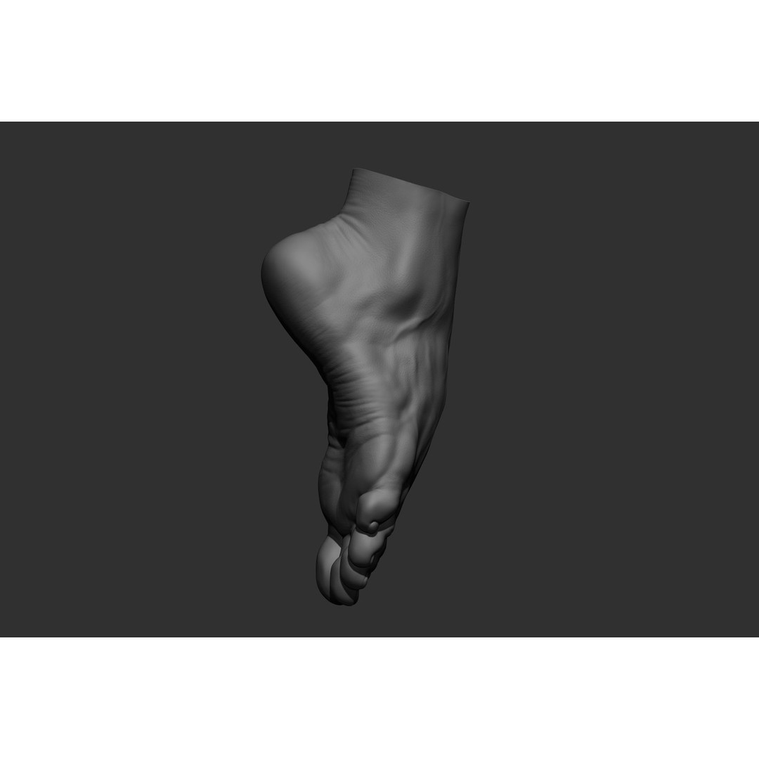 Realistic Male Foot Poses 3D Model – High Poly ZBrush Anatomy, FBX, OBJ - View 16