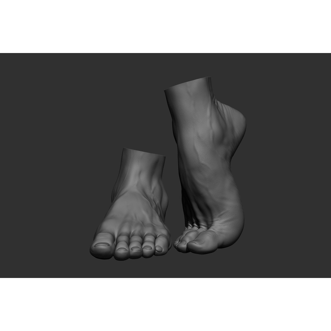Realistic Male Foot Poses 3D Model – High Poly ZBrush Anatomy, FBX, OBJ - View 17