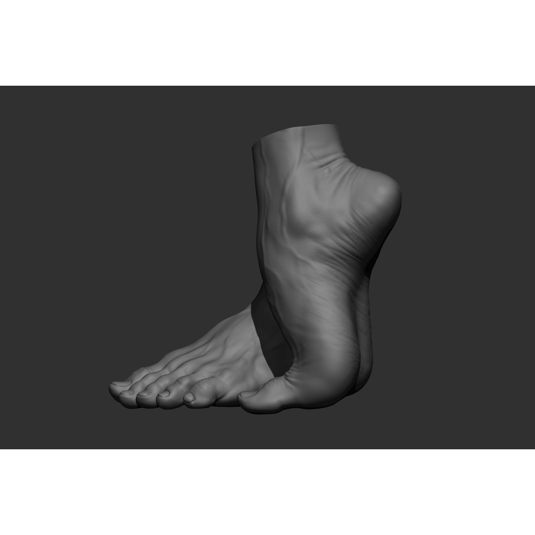 Realistic Male Foot Poses 3D Model – High Poly ZBrush Anatomy, FBX, OBJ - View 18