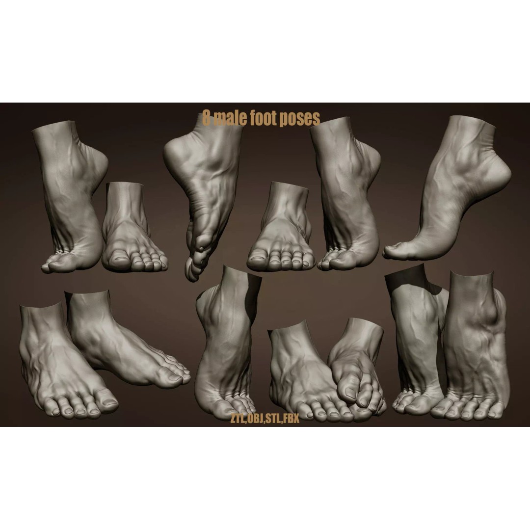 Realistic Male Foot Poses 3D Model – High Poly ZBrush Anatomy, FBX, OBJ - View 2