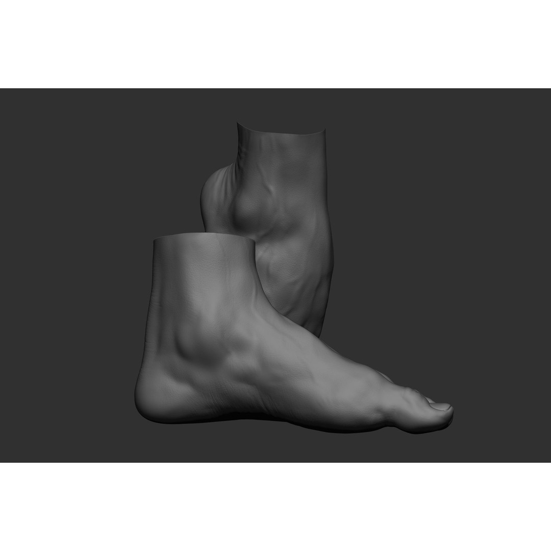Realistic Male Foot Poses 3D Model – High Poly ZBrush Anatomy, FBX, OBJ - View 20