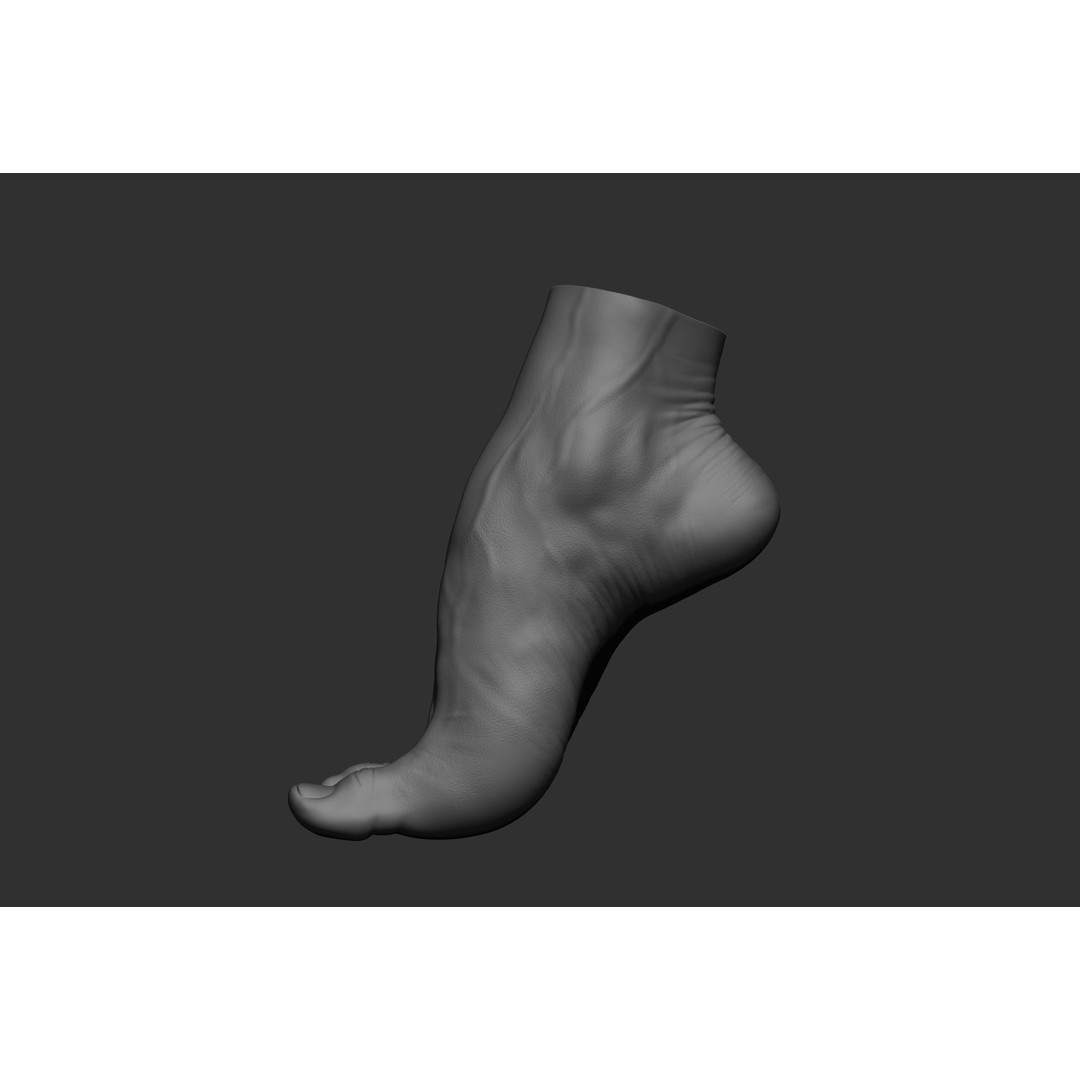 Realistic Male Foot Poses 3D Model – High Poly ZBrush Anatomy, FBX, OBJ - View 22