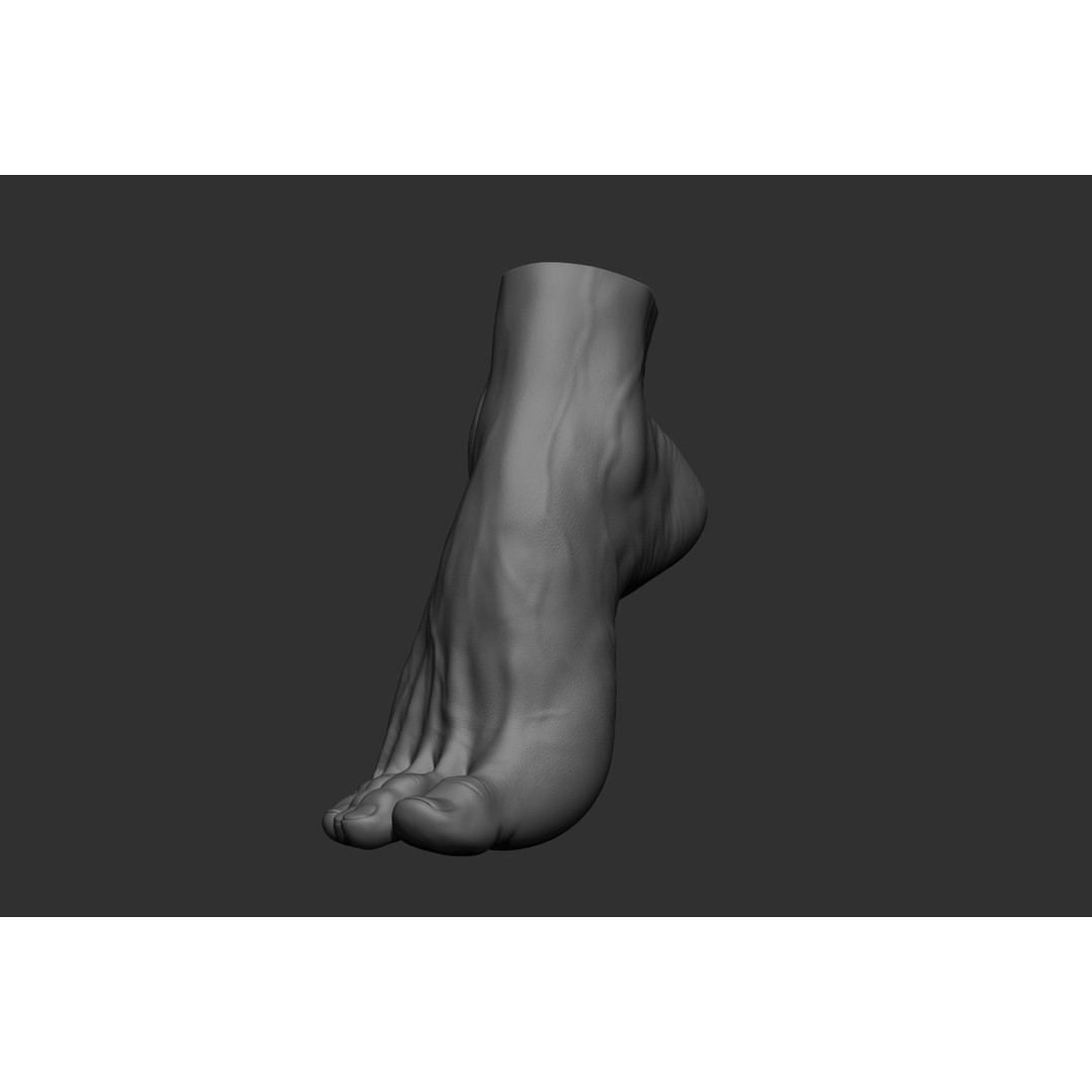 Realistic Male Foot Poses 3D Model – High Poly ZBrush Anatomy, FBX, OBJ - View 23