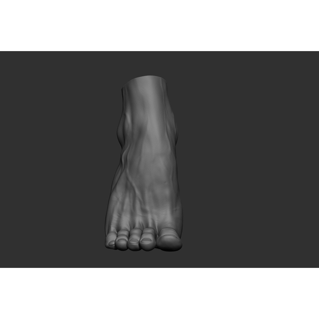 Realistic Male Foot Poses 3D Model – High Poly ZBrush Anatomy, FBX, OBJ - View 24