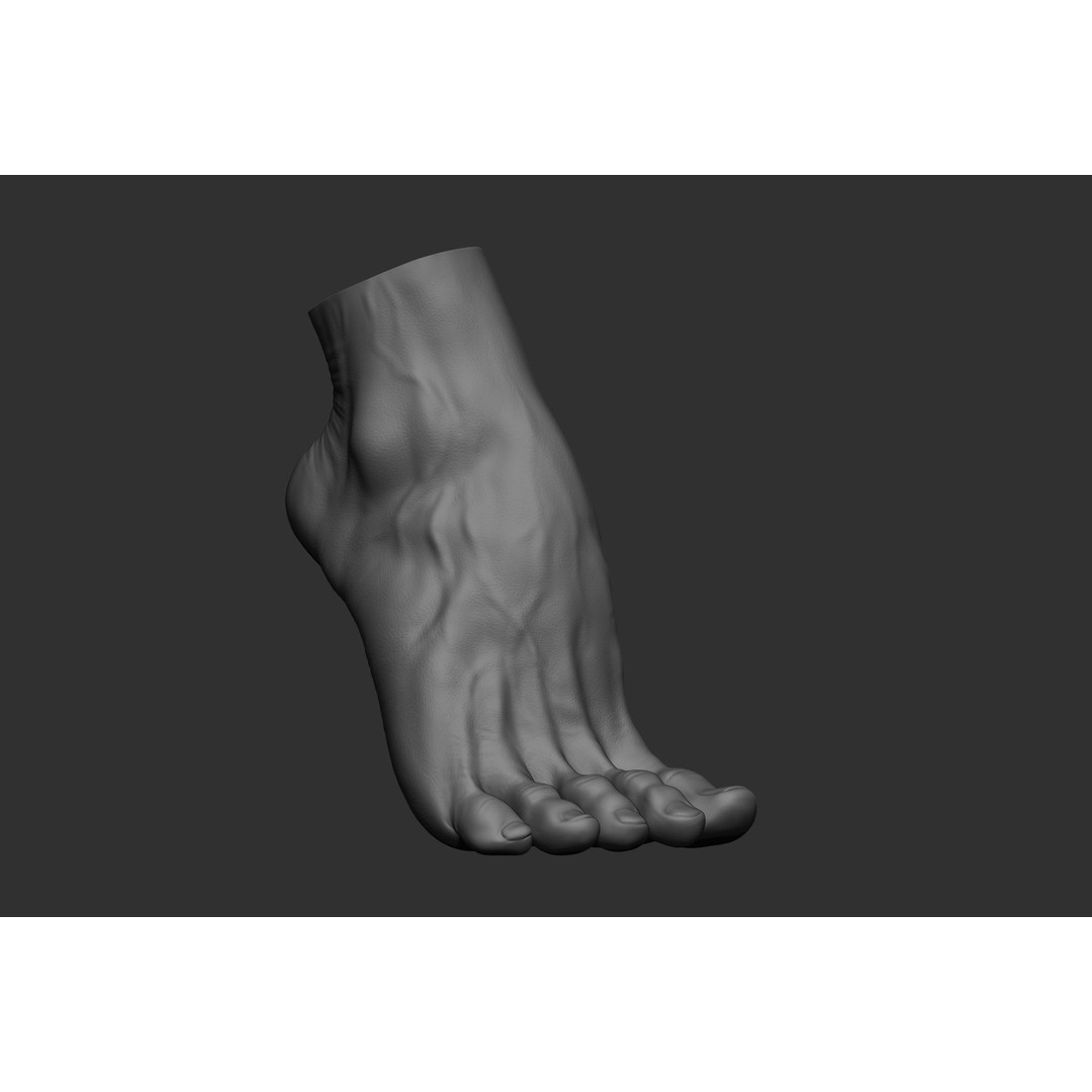 Realistic Male Foot Poses 3D Model – High Poly ZBrush Anatomy, FBX, OBJ - View 25