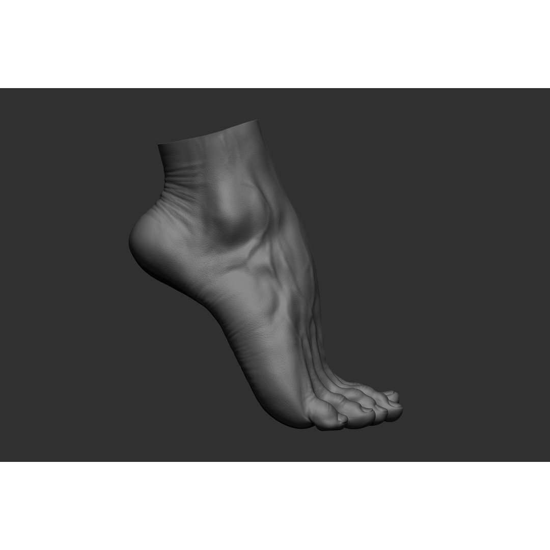 Realistic Male Foot Poses 3D Model – High Poly ZBrush Anatomy, FBX, OBJ - View 26