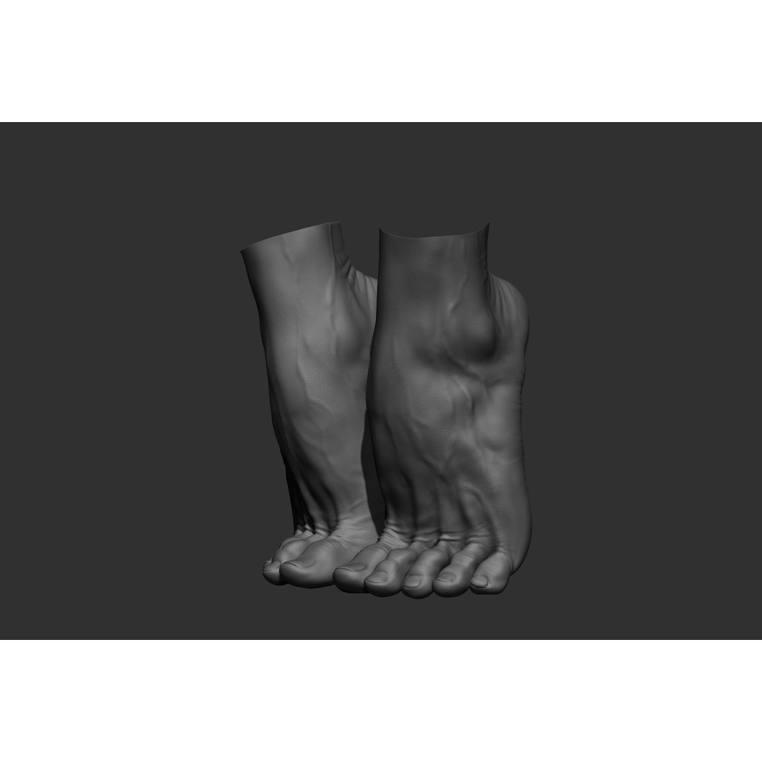 Realistic Male Foot Poses 3D Model – High Poly ZBrush Anatomy, FBX, OBJ - View 27