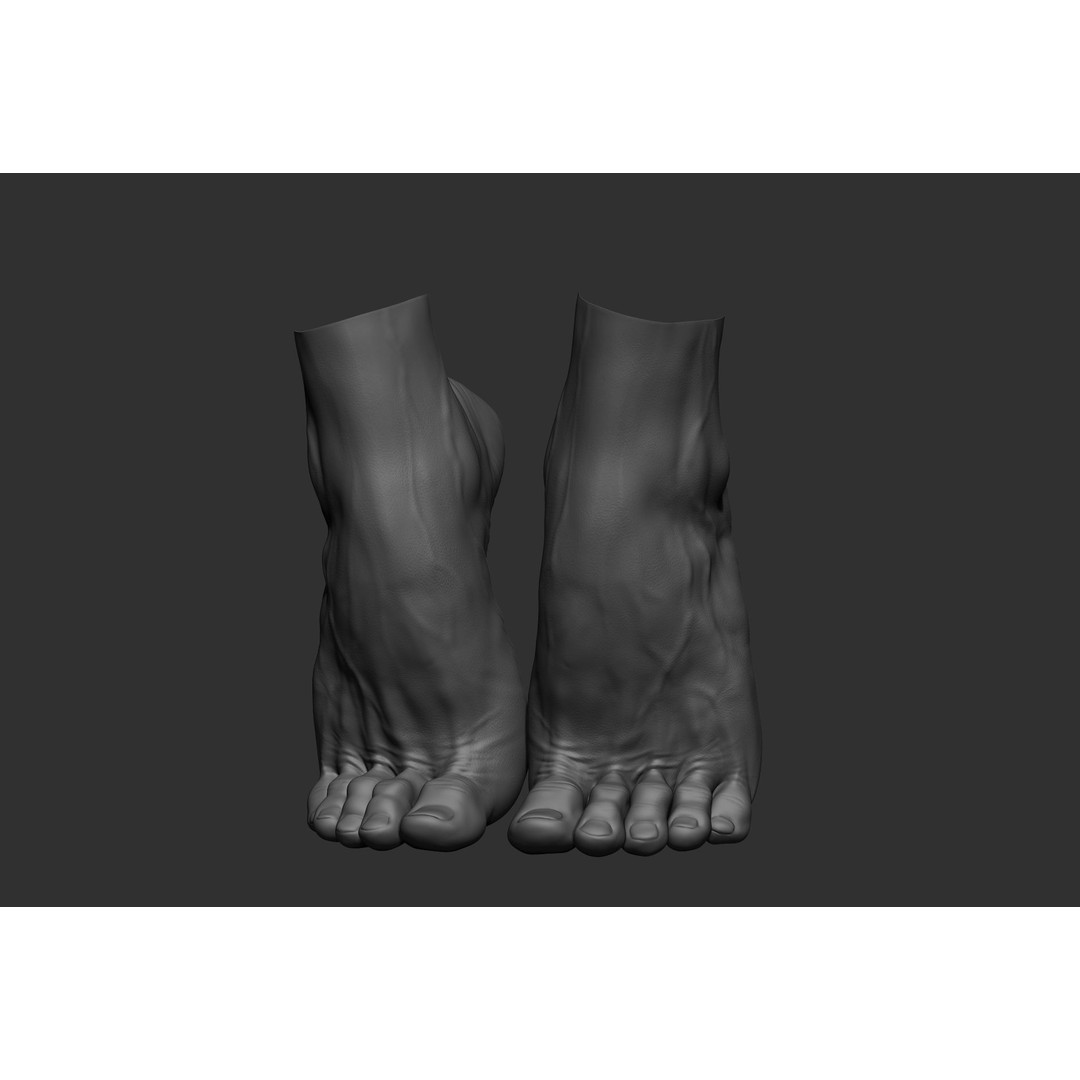 Realistic Male Foot Poses 3D Model – High Poly ZBrush Anatomy, FBX, OBJ - View 28