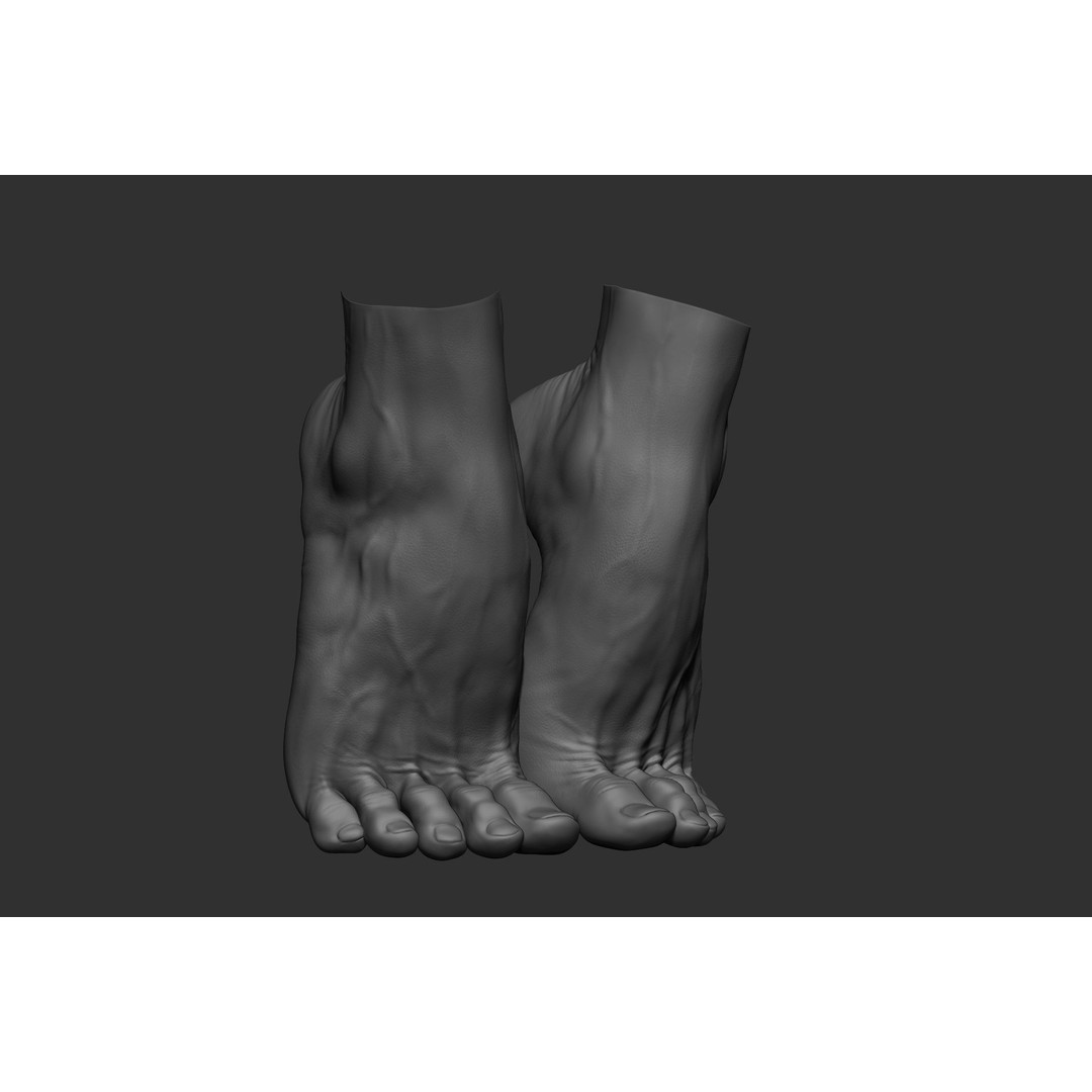 Realistic Male Foot Poses 3D Model – High Poly ZBrush Anatomy, FBX, OBJ - View 29