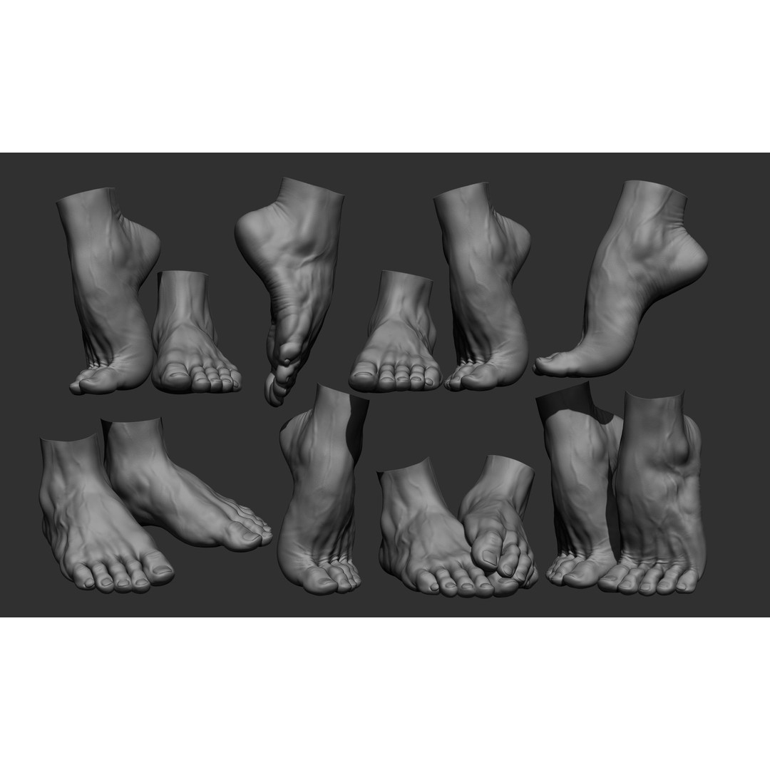 Realistic Male Foot Poses 3D Model – High Poly ZBrush Anatomy, FBX, OBJ - View 3