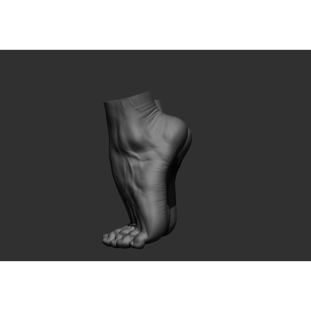 Realistic Male Foot Poses 3D Model – High Poly ZBrush Anatomy, FBX, OBJ - View 31