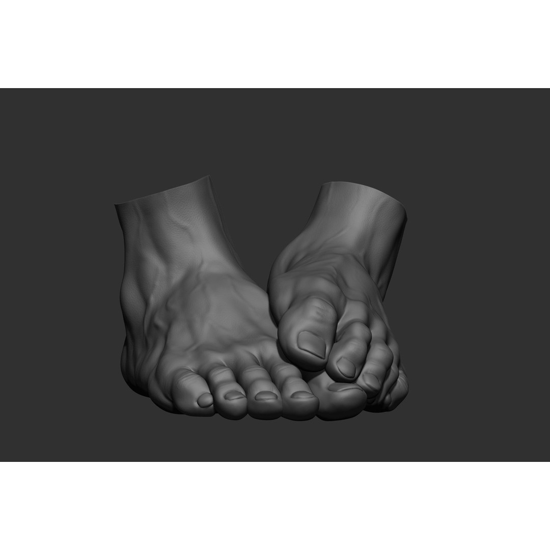 Realistic Male Foot Poses 3D Model – High Poly ZBrush Anatomy, FBX, OBJ - View 32