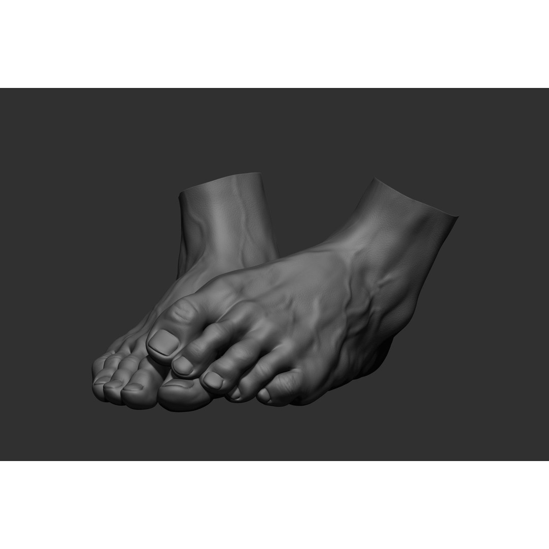 Realistic Male Foot Poses 3D Model – High Poly ZBrush Anatomy, FBX, OBJ - View 33