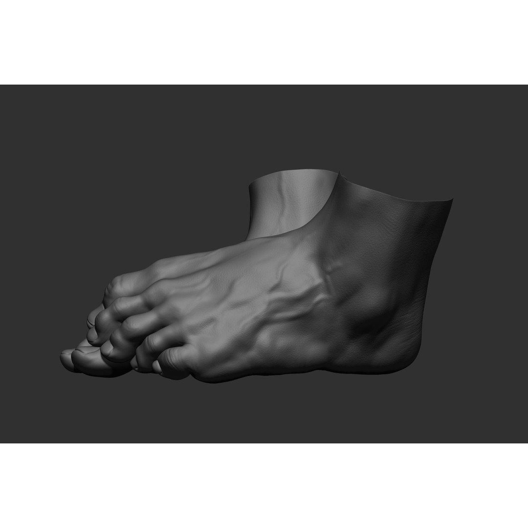 Realistic Male Foot Poses 3D Model – High Poly ZBrush Anatomy, FBX, OBJ - View 34