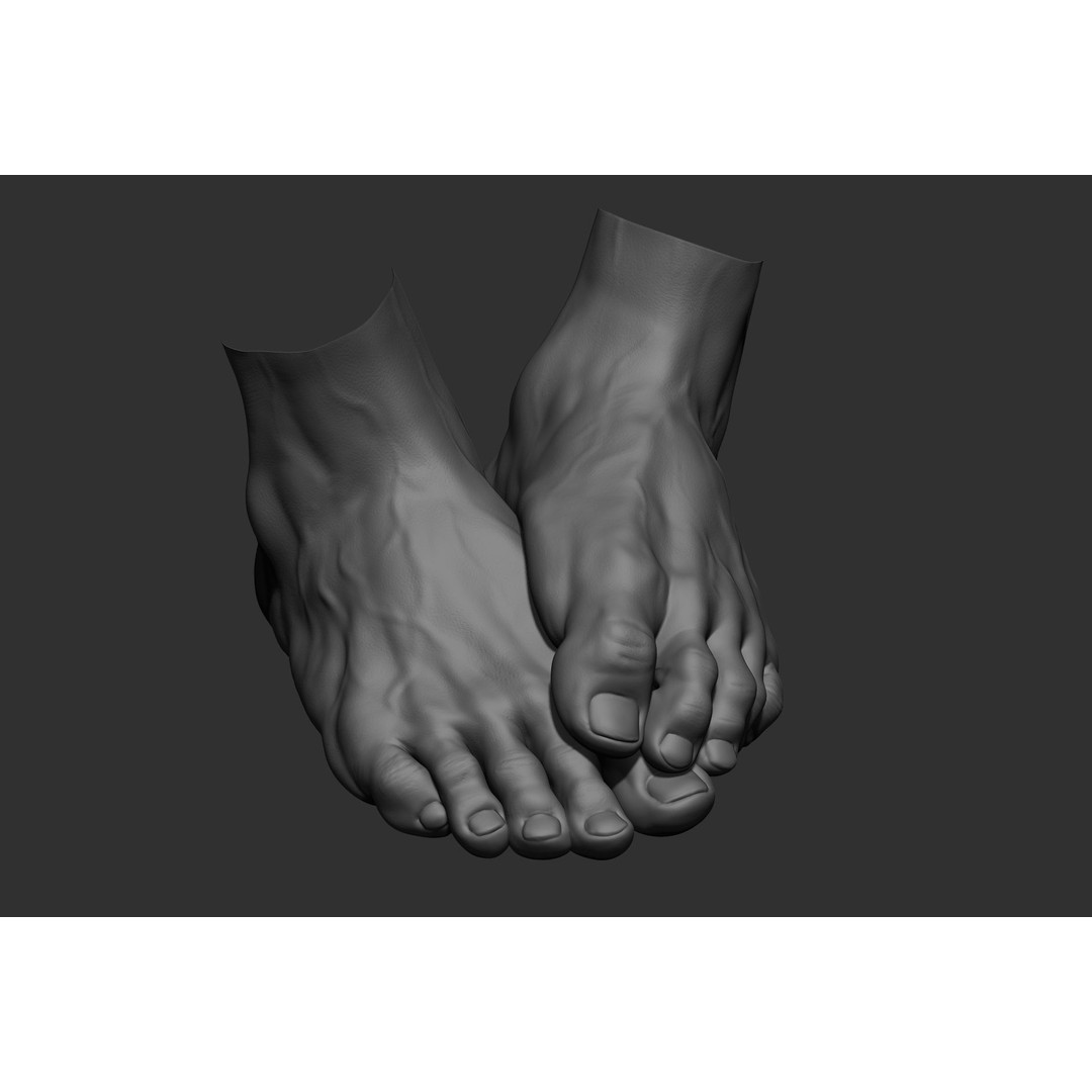 Realistic Male Foot Poses 3D Model – High Poly ZBrush Anatomy, FBX, OBJ - View 35