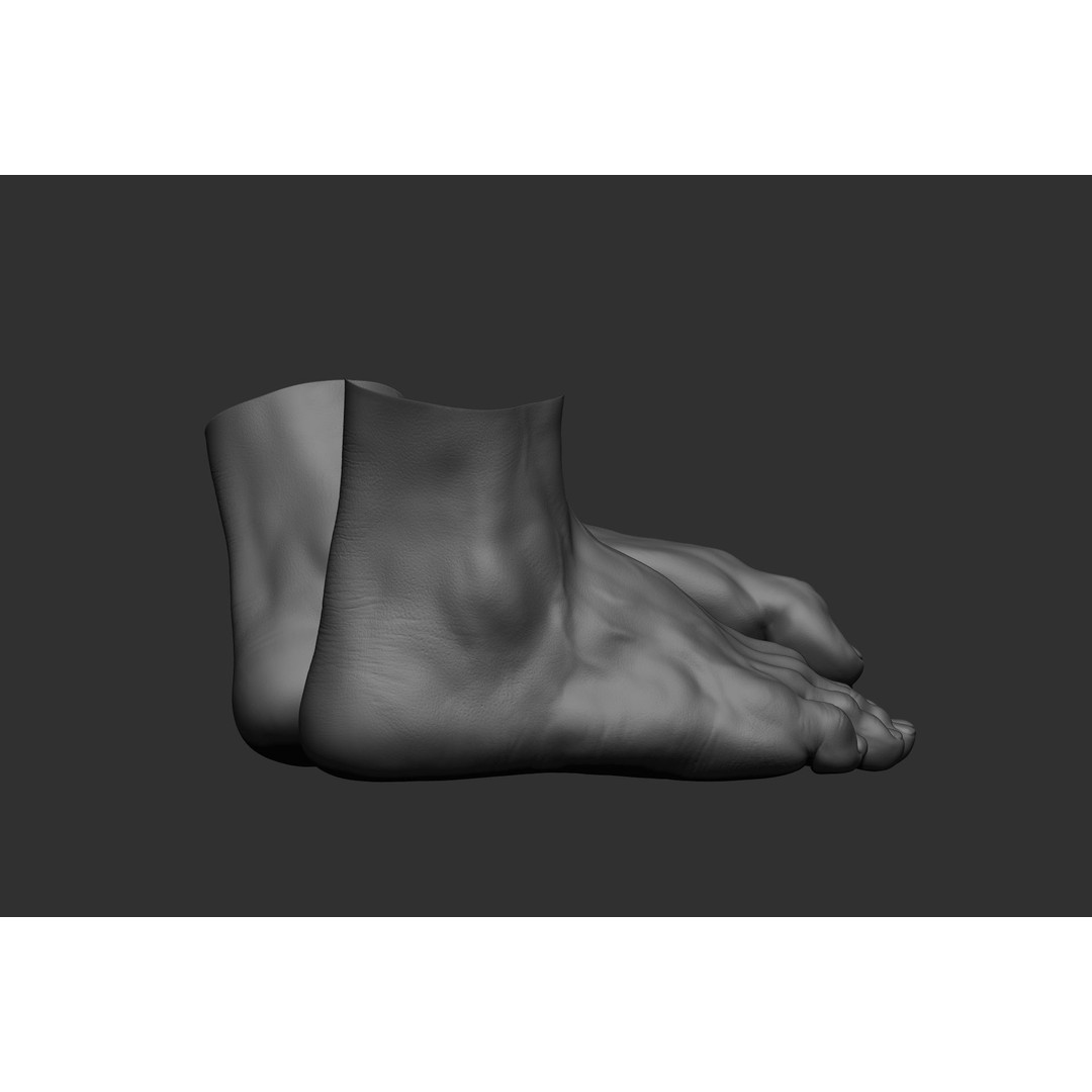 Realistic Male Foot Poses 3D Model – High Poly ZBrush Anatomy, FBX, OBJ - View 37