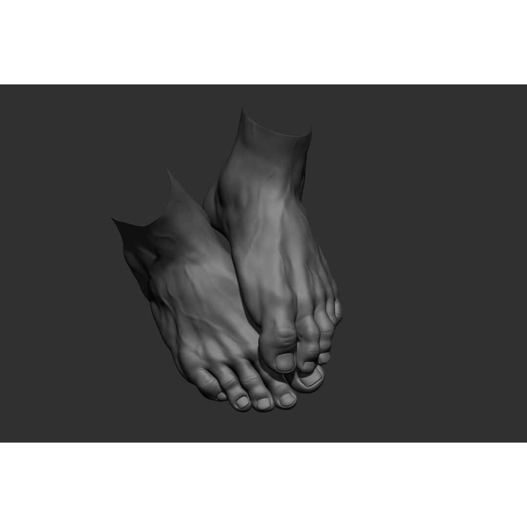 Realistic Male Foot Poses 3D Model – High Poly ZBrush Anatomy, FBX, OBJ - View 38
