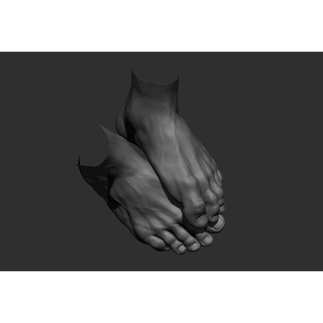 Realistic Male Foot Poses 3D Model – High Poly ZBrush Anatomy, FBX, OBJ - View 40