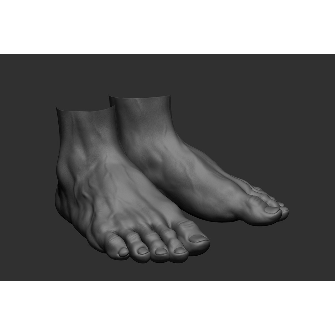 Realistic Male Foot Poses 3D Model – High Poly ZBrush Anatomy, FBX, OBJ - View 42