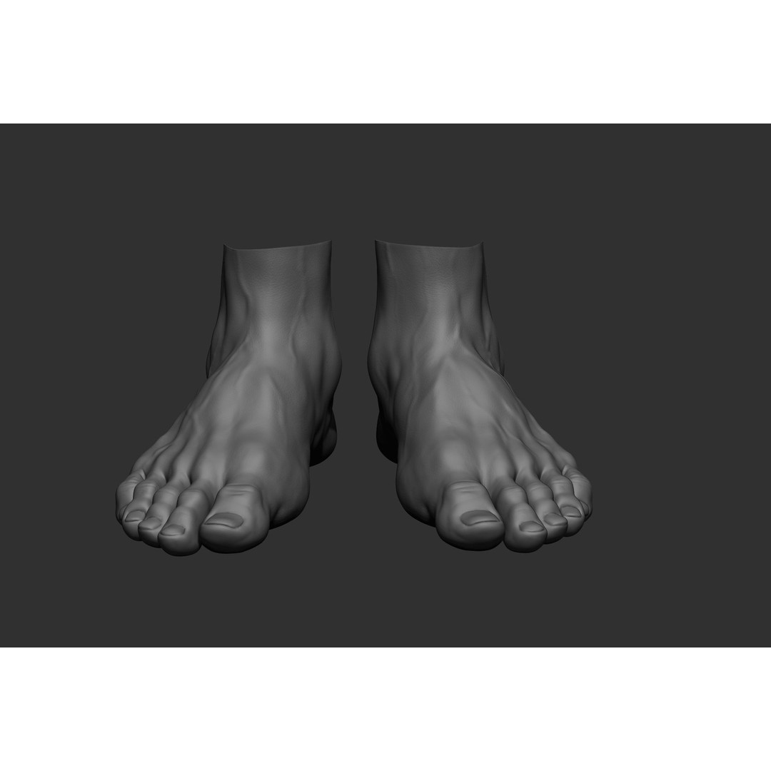 Realistic Male Foot Poses 3D Model – High Poly ZBrush Anatomy, FBX, OBJ - View 43