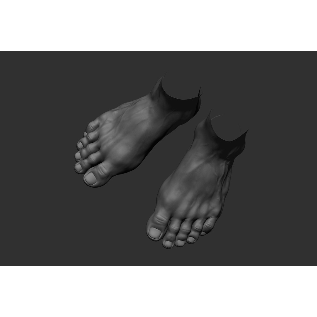 Realistic Male Foot Poses 3D Model – High Poly ZBrush Anatomy, FBX, OBJ - View 44