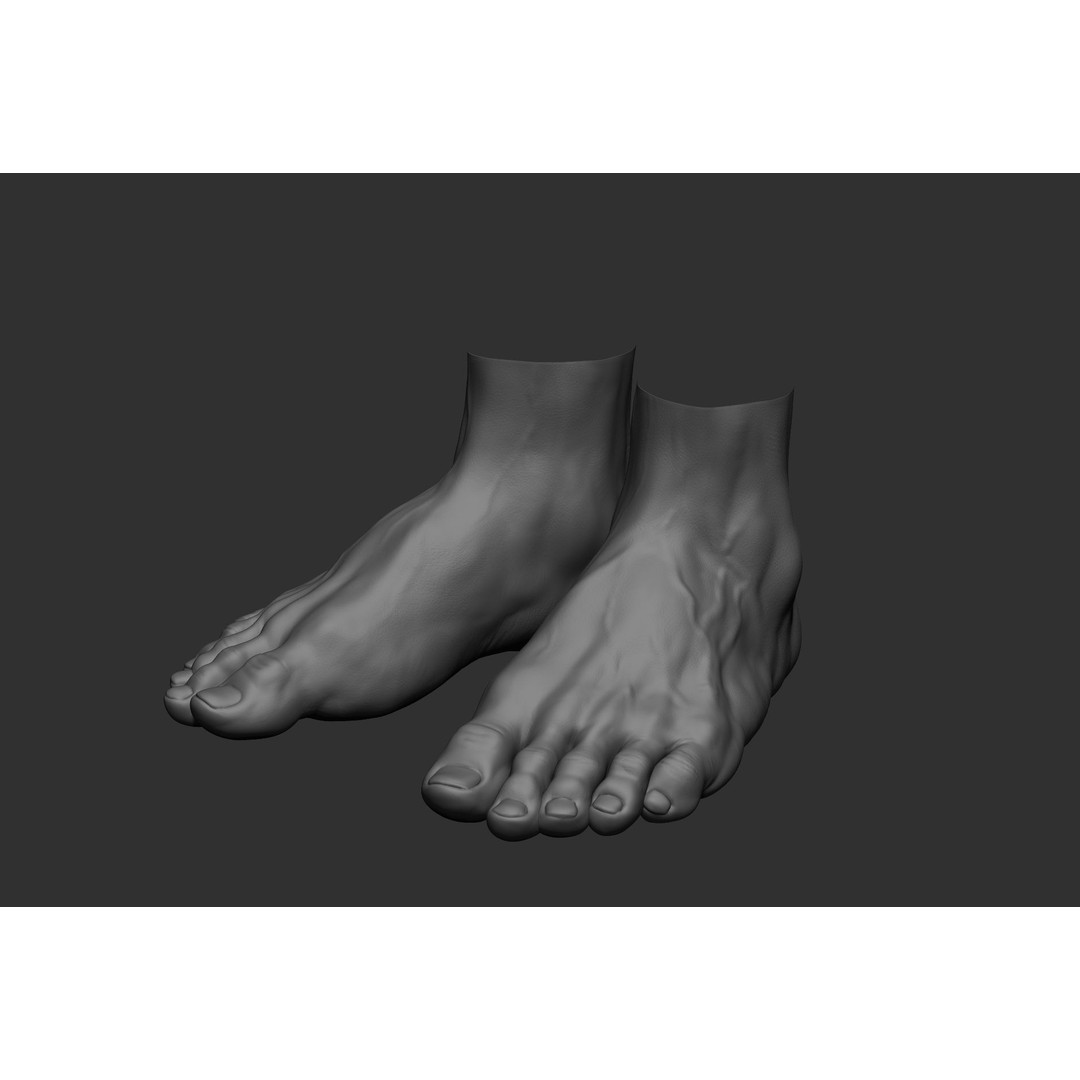 Realistic Male Foot Poses 3D Model – High Poly ZBrush Anatomy, FBX, OBJ - View 45
