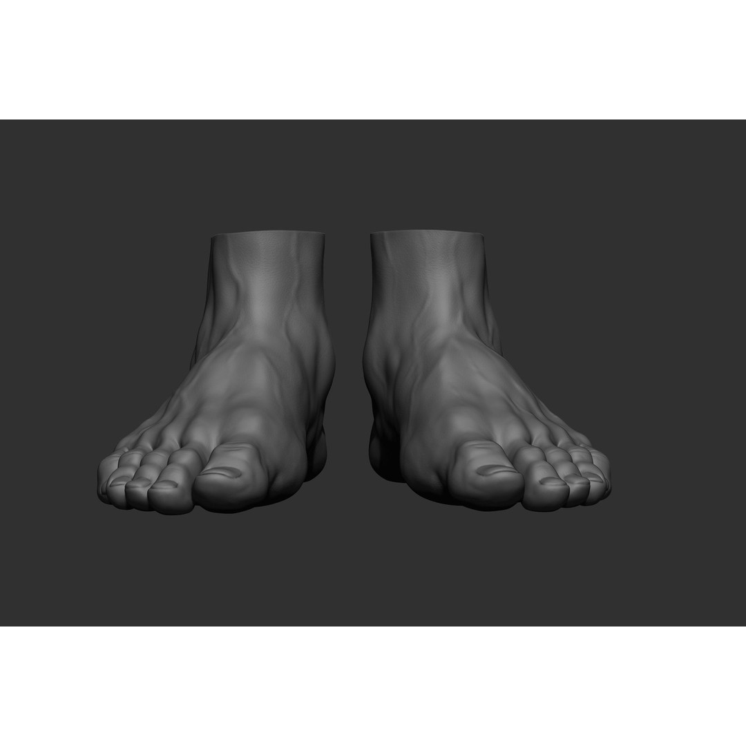 Realistic Male Foot Poses 3D Model – High Poly ZBrush Anatomy, FBX, OBJ - View 46