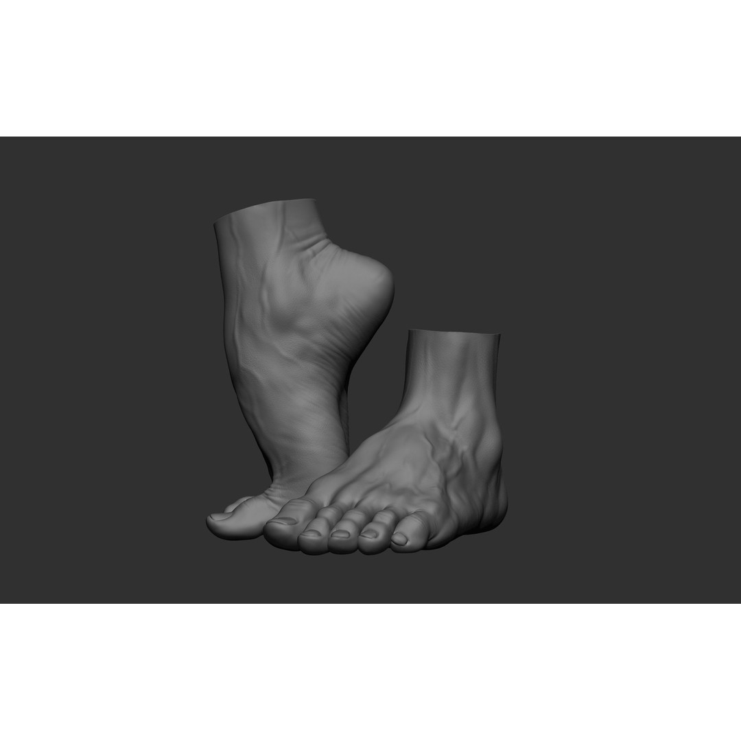 Realistic Male Foot Poses 3D Model – High Poly ZBrush Anatomy, FBX, OBJ - View 6