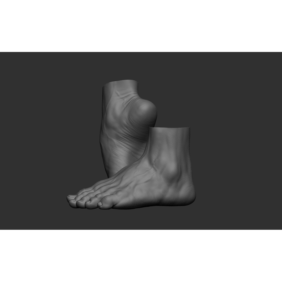 Realistic Male Foot Poses 3D Model – High Poly ZBrush Anatomy, FBX, OBJ - View 7