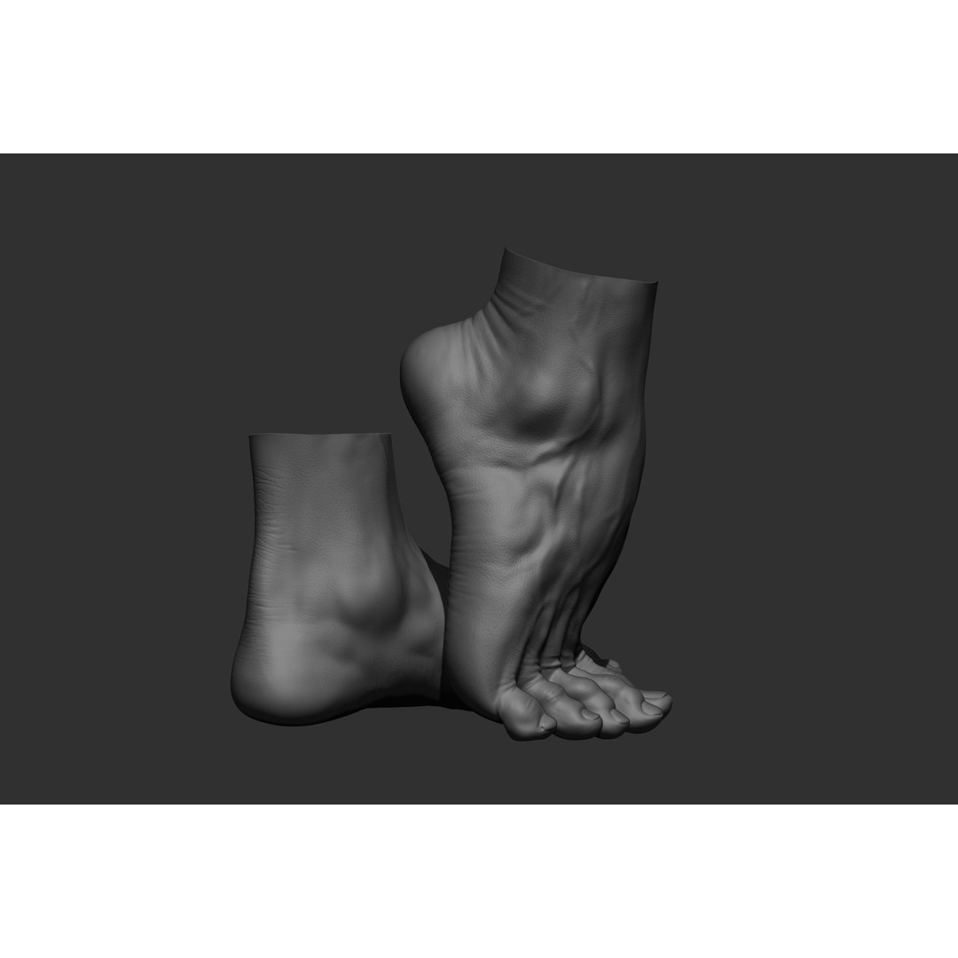 Realistic Male Foot Poses 3D Model – High Poly ZBrush Anatomy, FBX, OBJ - View 9