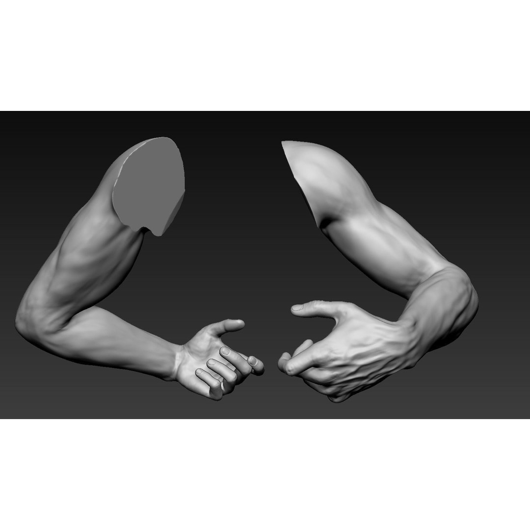 Male Arms 3D Model – Anatomically Correct Poses, OBJ & ZTL Formats - View 14