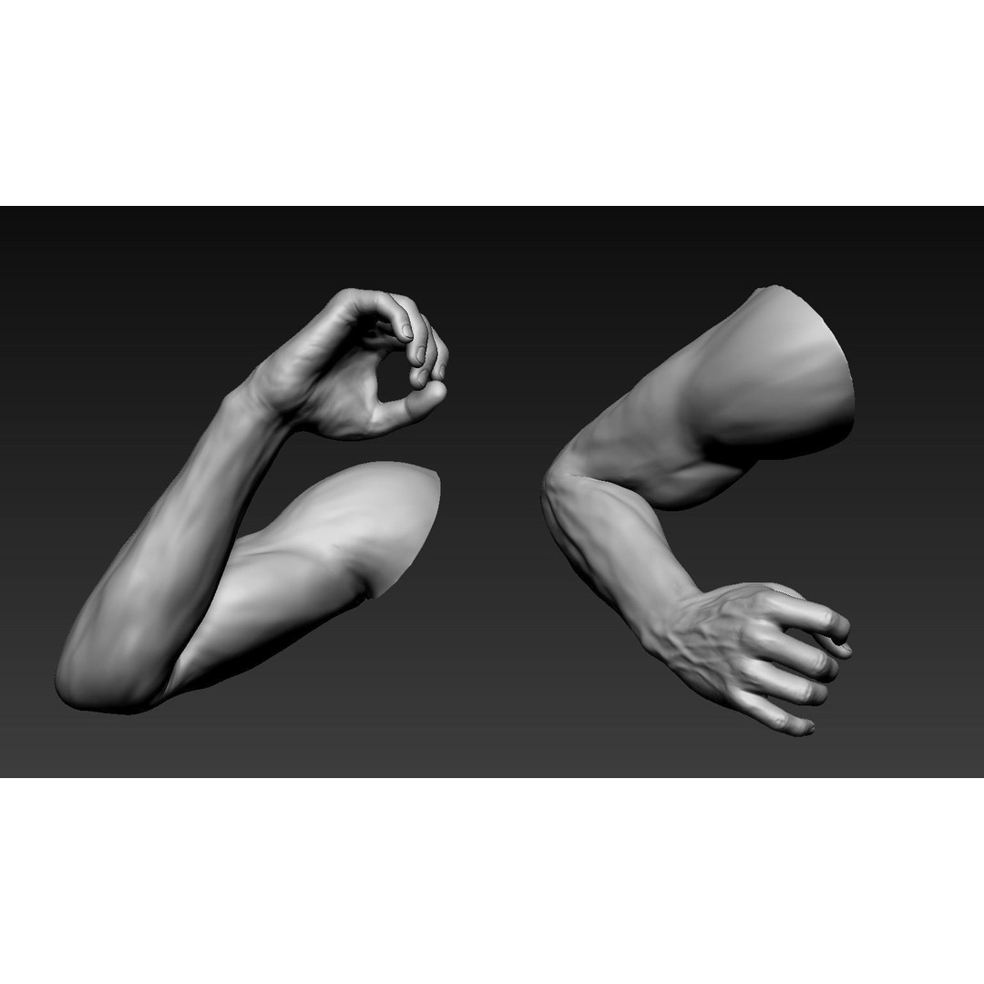Male Arms 3D Model – Anatomically Correct Poses, OBJ & ZTL Formats - View 17