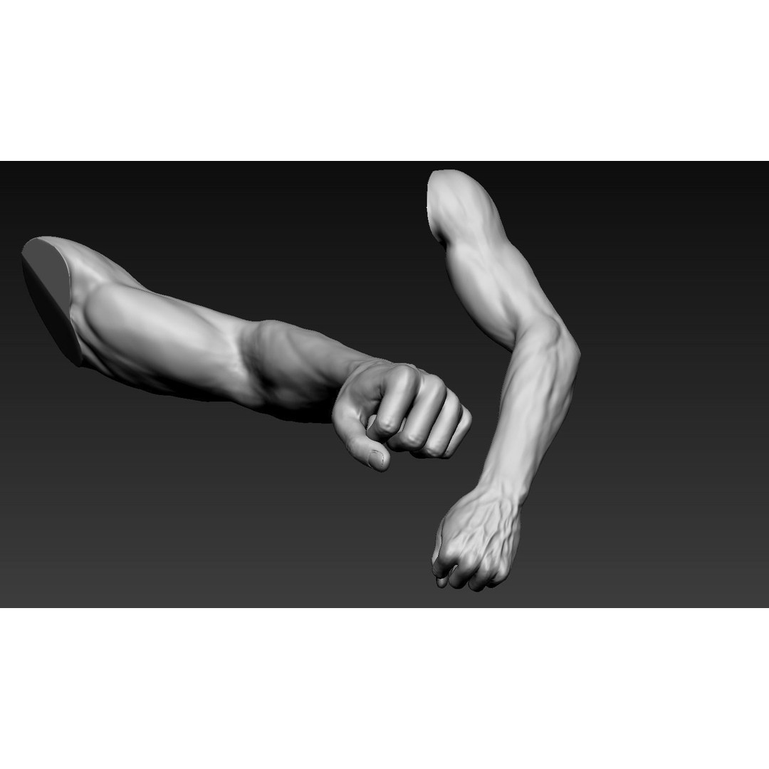 Male Arms 3D Model – Anatomically Correct Poses, OBJ & ZTL Formats - View 18